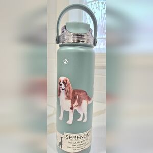 King Charles Cavaler. Serengeti Medium Green Water Bottle